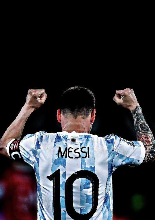 但由于涉及 但由于涉及