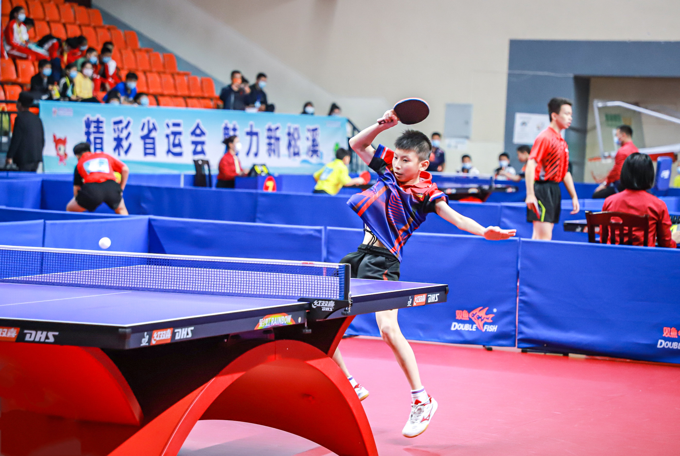 其情感价值 其情感价值