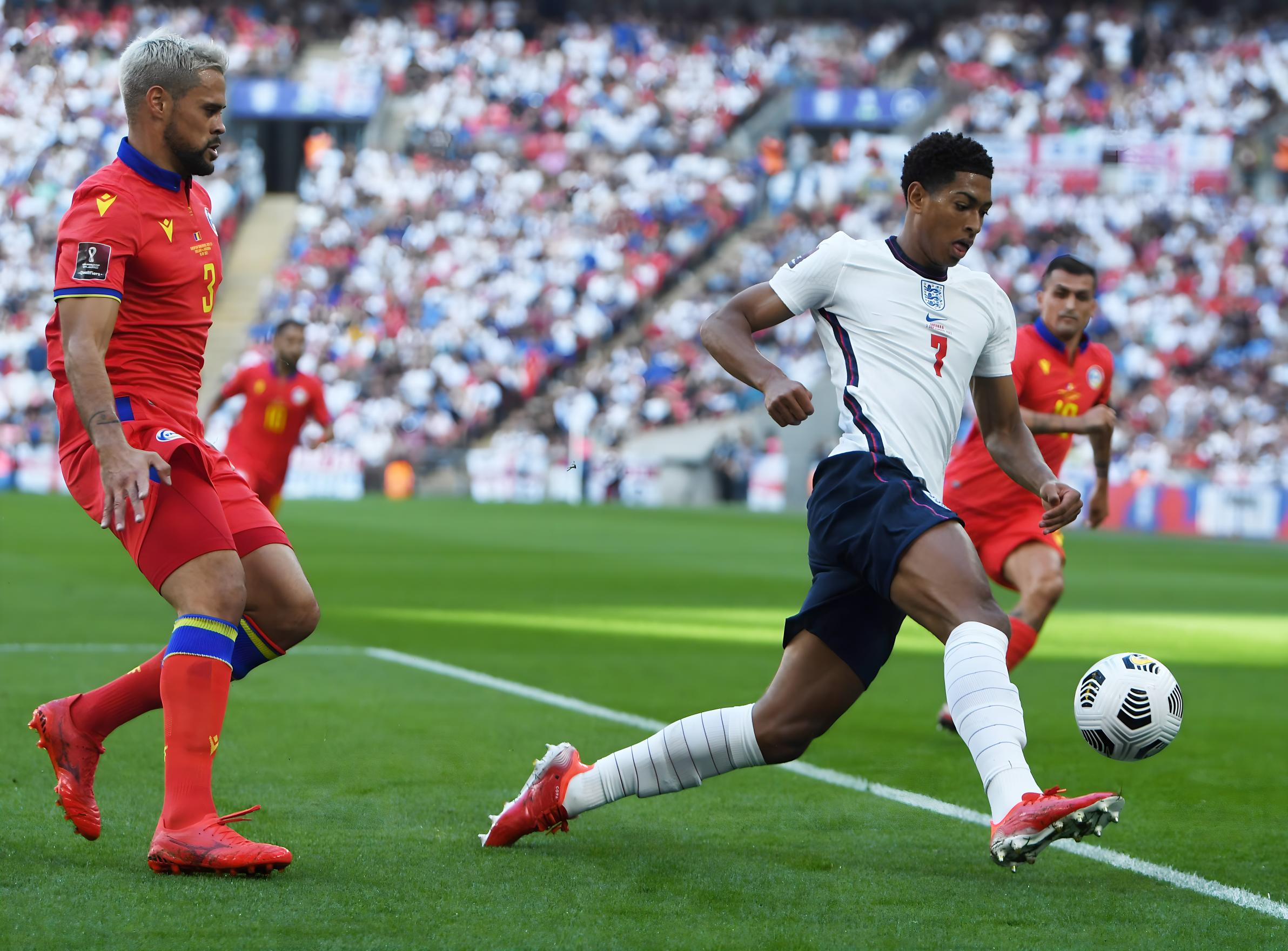 在这篇文章 在这篇文章