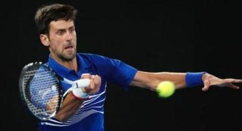 仅依靠身体 仅依靠身体